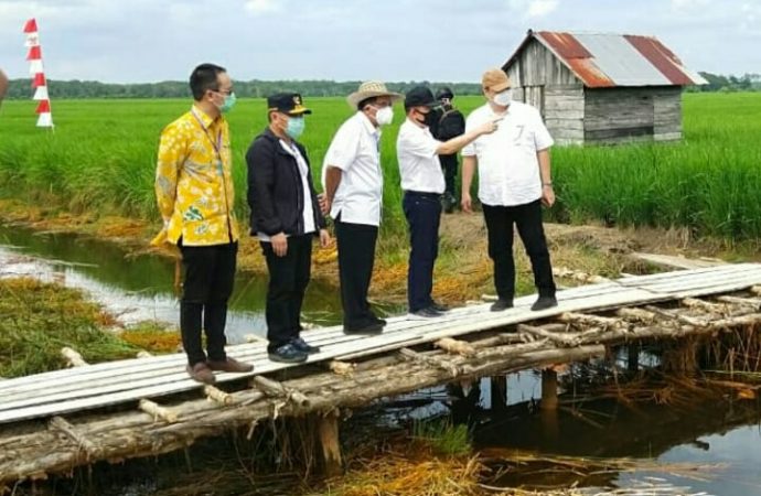 Dua Menteri dan Satu Wamen Kunjungi Kabupaten Kapuas