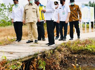 Presiden Tinjau Lokasi Pengembangan Lumbung Pangan Nasional di Kabupaten Kapuas