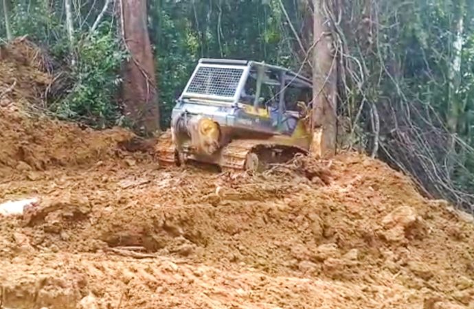 Denda Adat belum dipenuhi, Diduga PT.INDEXIM UTAMA garap kembali Areal Sakral Gunung Peyuyan Guna Pembuatan Jalan Baru.