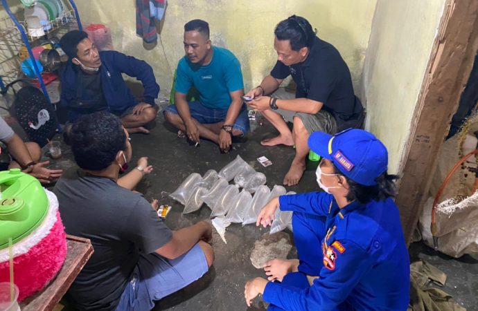 Anggota KP Sanjaya-7017 Gagalkan Penyelundupan 3800 Ekor Baby Lobster di Binuangan Banten