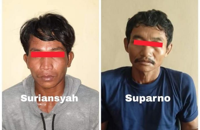 Kurang dari 24 Jam, Polres Pulpis Tangkap Dua Pelaku Pembunuhan Dengan TKP Berbeda